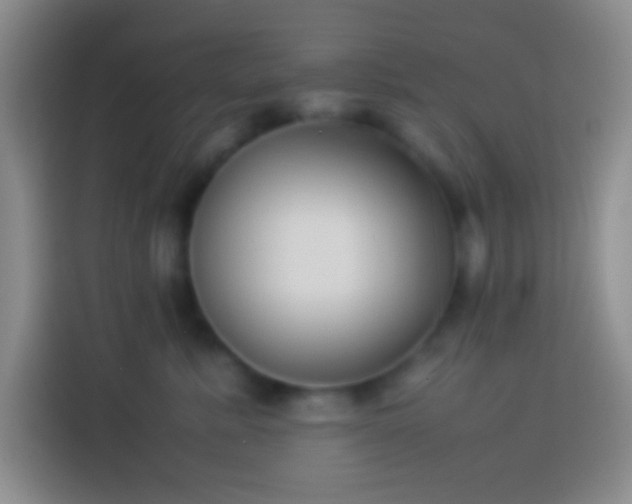 X0000113910619200910011450