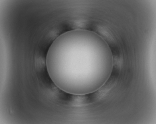 X0000113910621200910011450