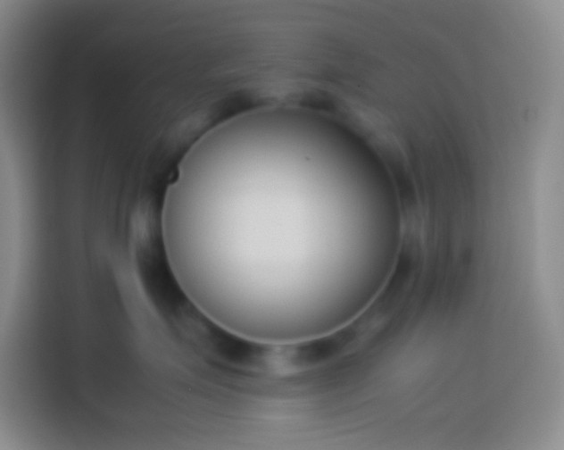 X0000113910623200910011450