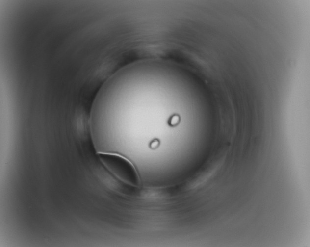 X0000113910624200910011450