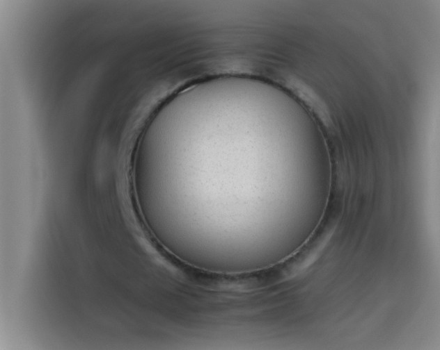 X0000113910625200910011449