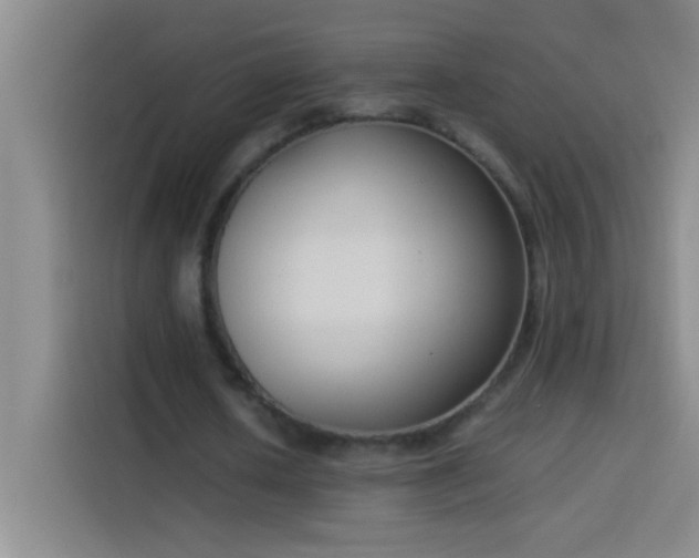 X0000113910626200910011449