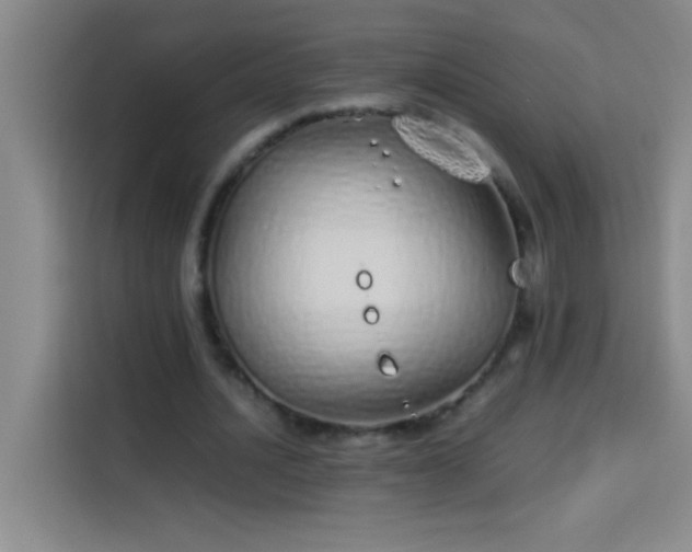 X0000113910628200910011449