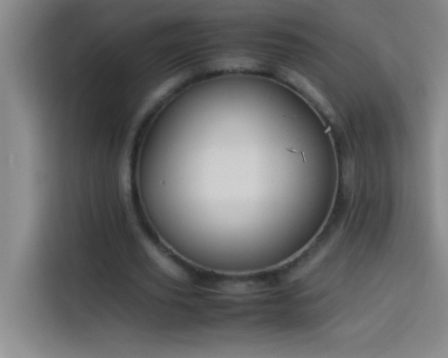 X0000113910629200910011449