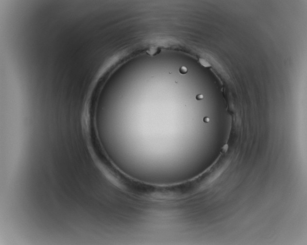 X0000113910630200910011449