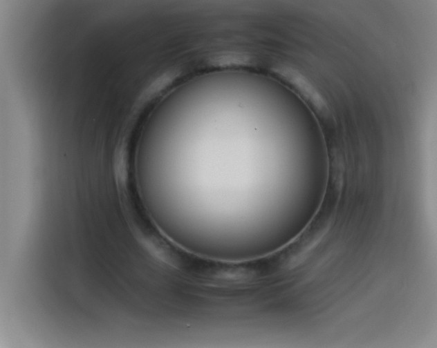 X0000113910631200910011449