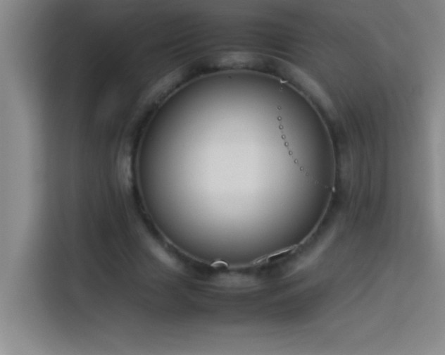 X0000113910633200910011449