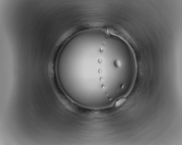 X0000113910634200910011449