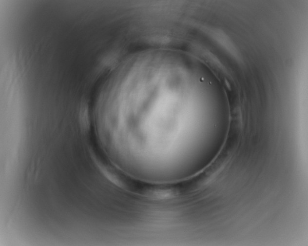 X0000113910638200910011449