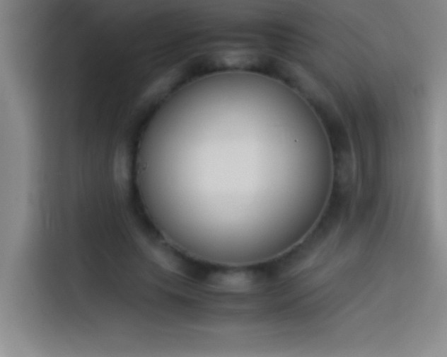 X0000113910639200910011449