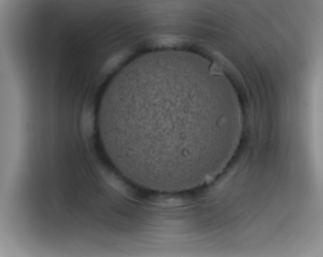 X0000113910640200910011449