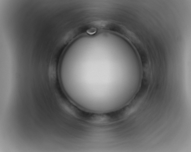 X0000113910642200910011449