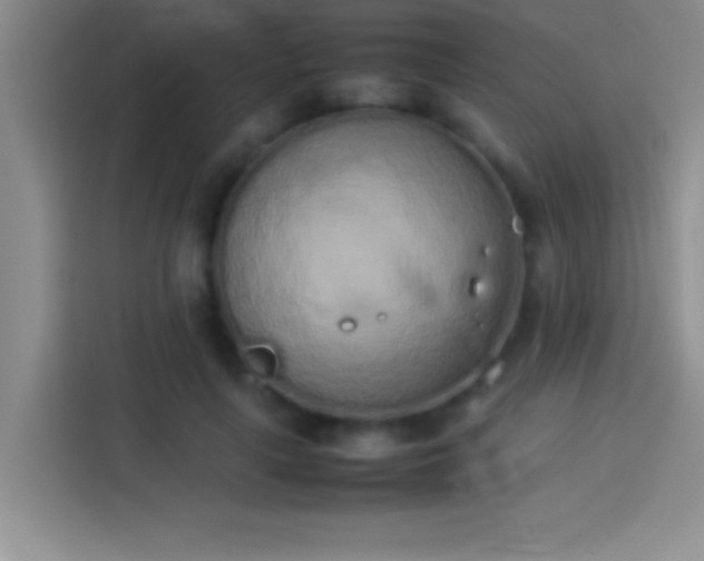 X0000113910643200910011449