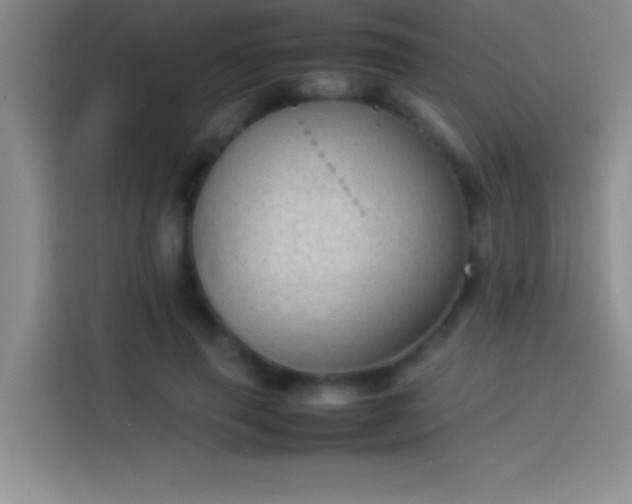 X0000113910645200910011449