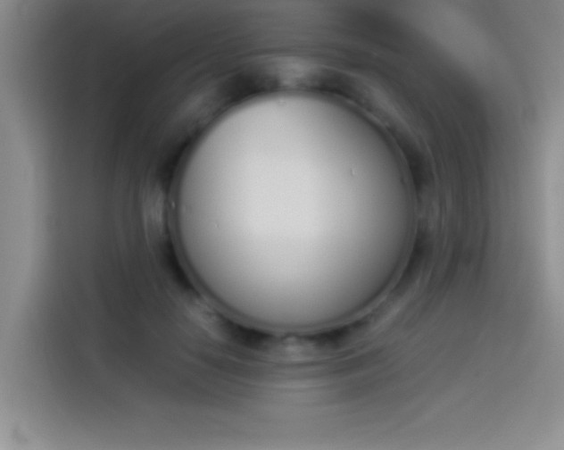 X0000113910650200910011450