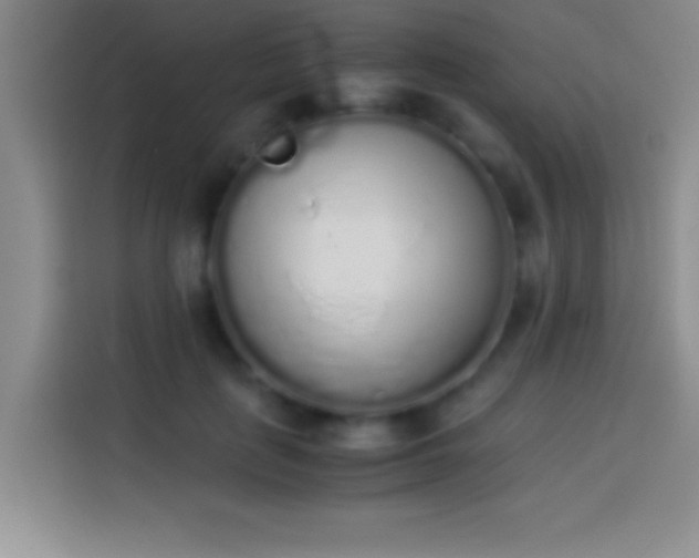 X0000113910651200910011450