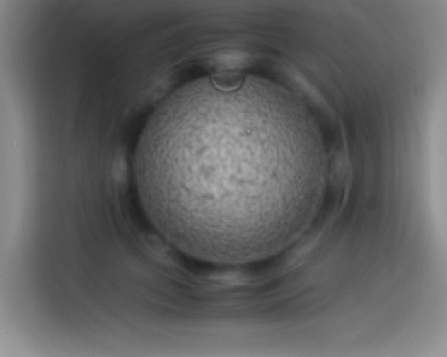 X0000113910655200910011450