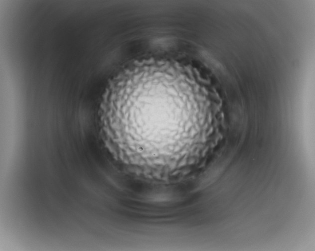 X0000113910659200910011450