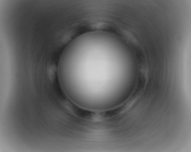 X0000113910660200910011450