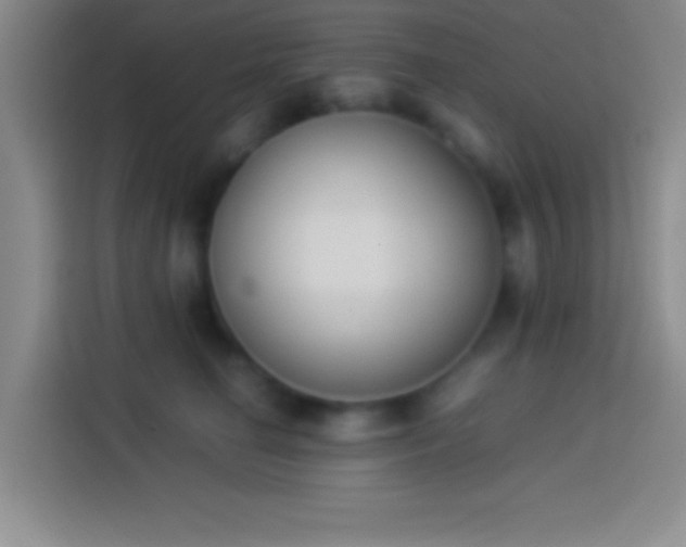 X0000113910662200910011450