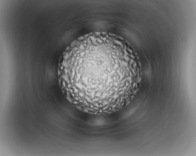 X0000113910663200910011450