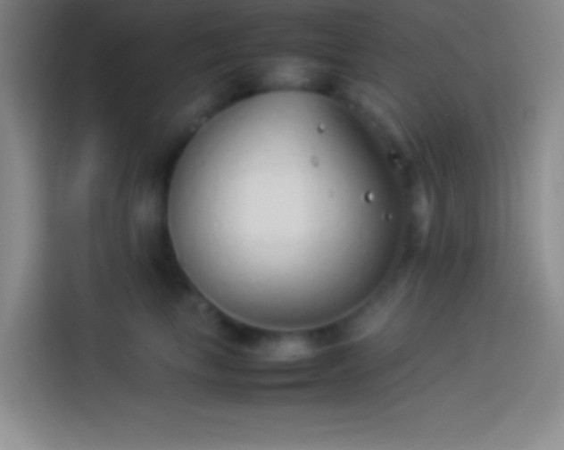 X0000113910665200910011450