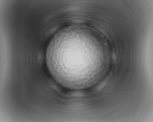 X0000113910668200910011450