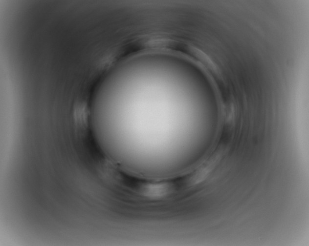 X0000113910669200910011450