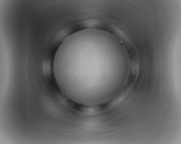 X0000113910670200910011450