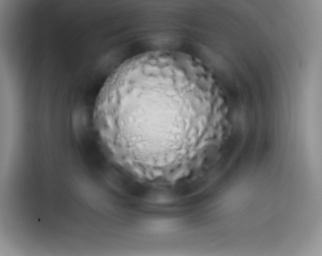 X0000113910671200910011450