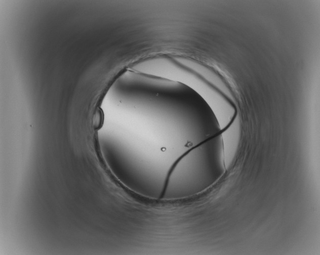 X0000113910673200910011449