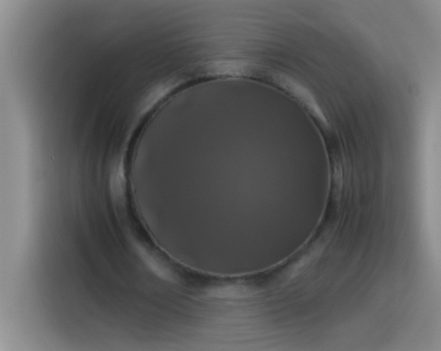 X0000113910674200910011449