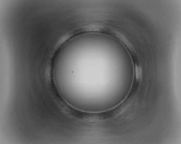 X0000113910675200910011449