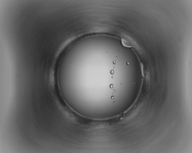 X0000113910676200910011449