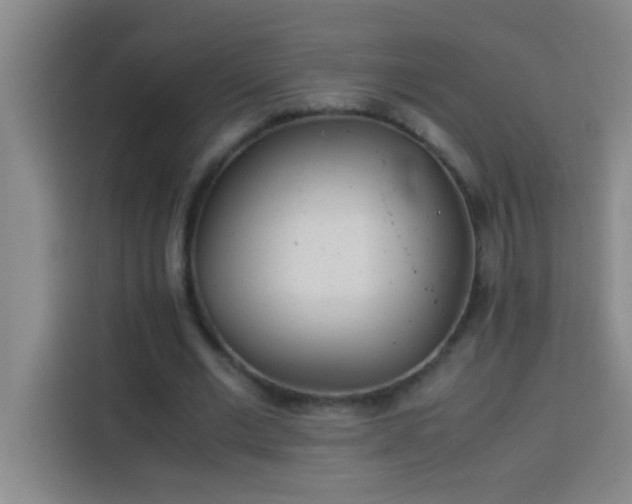 X0000113910677200910011449