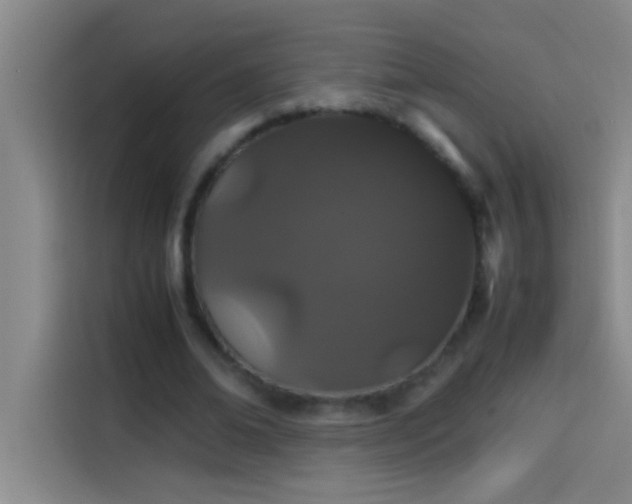 X0000113910678200910011449