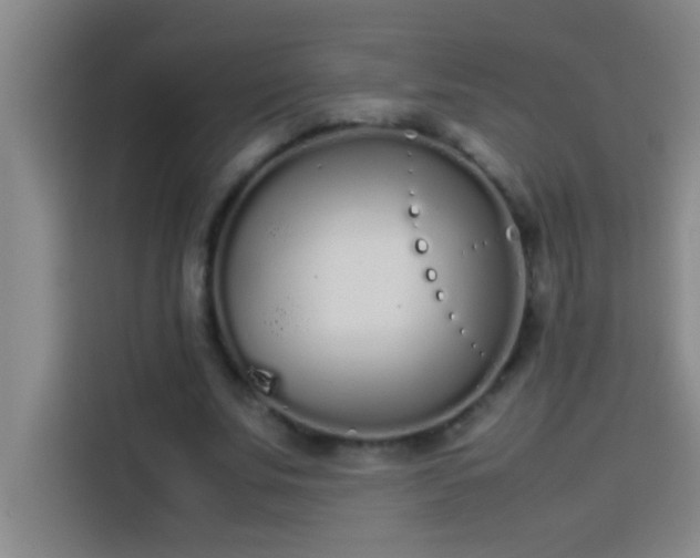 X0000113910679200910011449