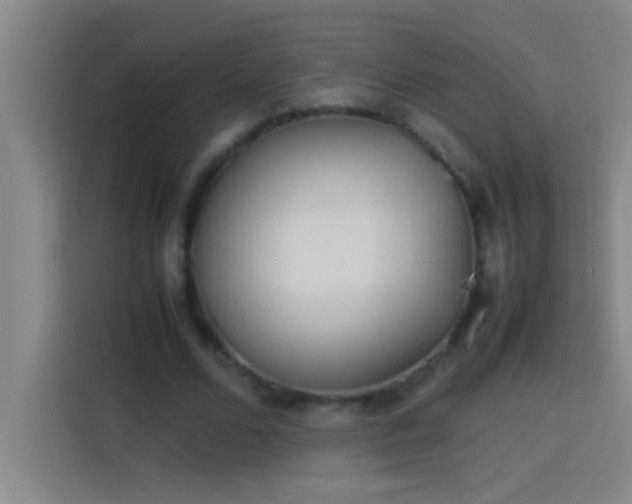 X0000113910680200910011449