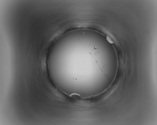 X0000113910681200910011449