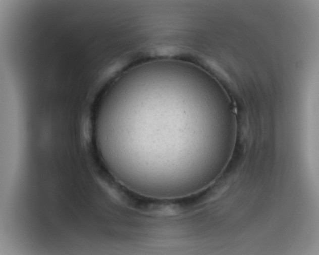 X0000113910683200910011449