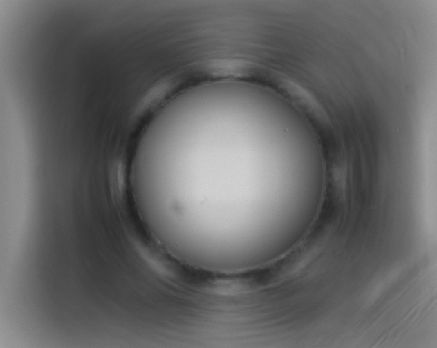 X0000113910686200910011449