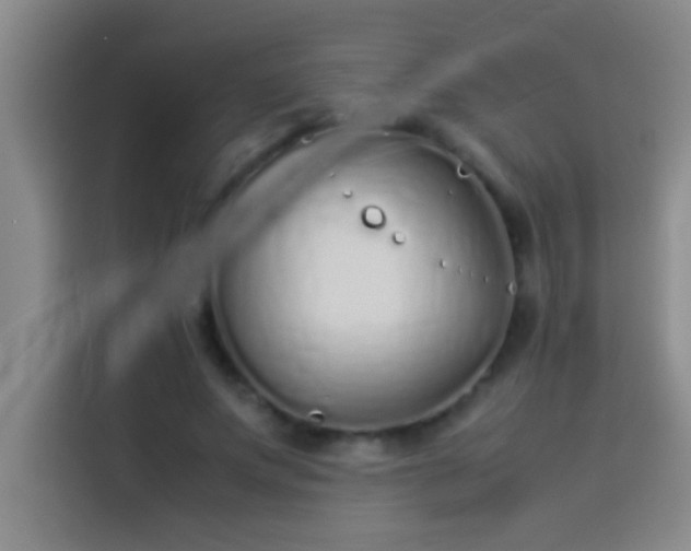 X0000113910687200910011449