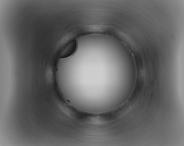 X0000113910688200910011449