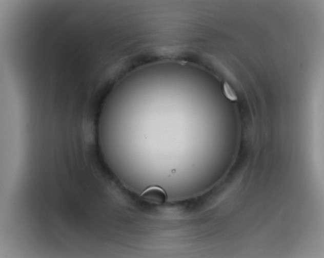 X0000113910689200910011449