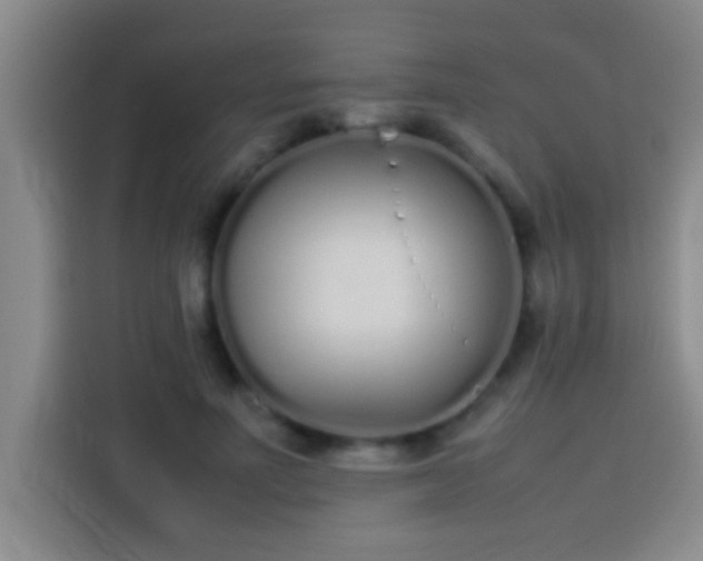 X0000113910691200910011449