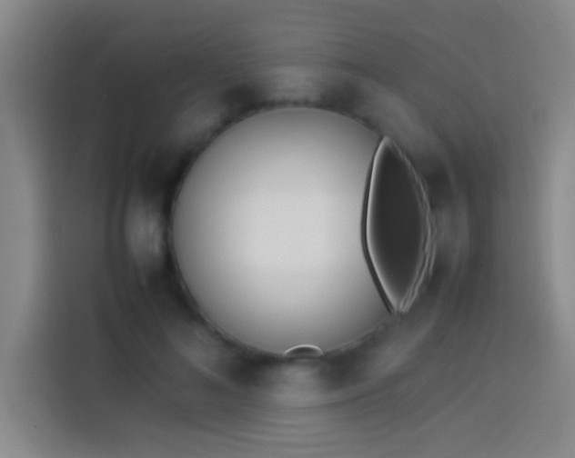 X0000113910692200910011449