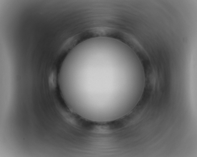 X0000113910694200910011449