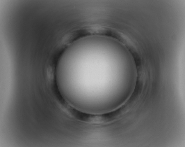 X0000113910695200910011449