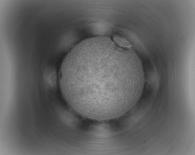 X0000113910696200910011449