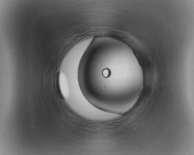 X0000113910697200910011449